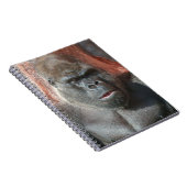 Silverback Oumbi Notizblock (Rechte Seite)