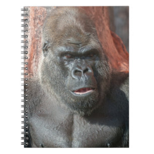 Silverback Oumbi Notizblock