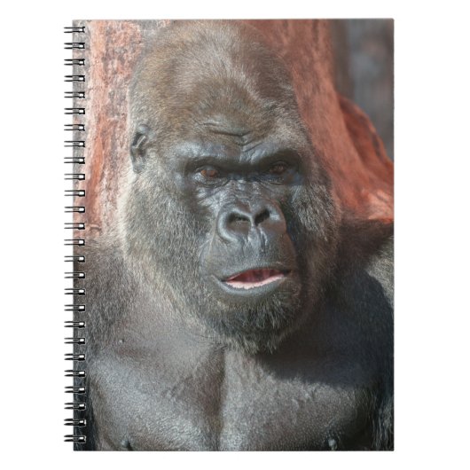 Silverback Oumbi Notizblock (Vorderseite)
