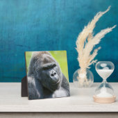 Silverback Portrait Fotoplatte (InSitu)