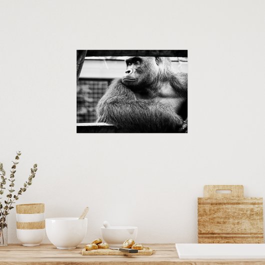 Silverback Poster (Küche)