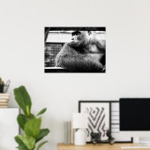 Silverback Poster (Heimbüro)