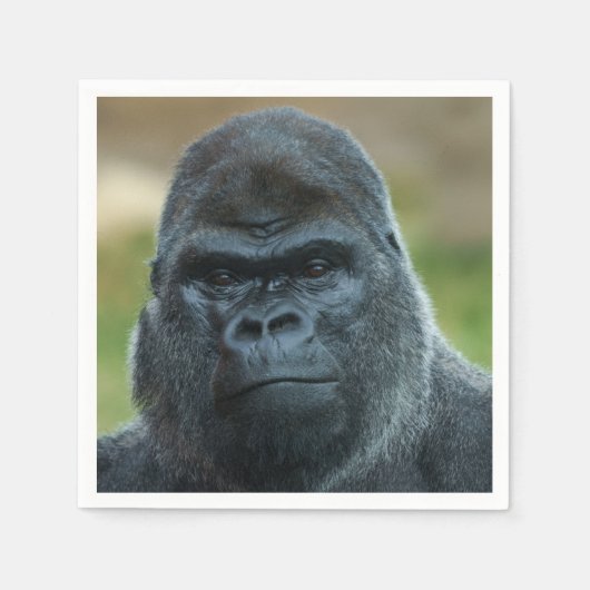 Silverback Serviette (Vorderseite)