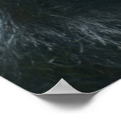 Silverback Splendor Poster (Ecke)