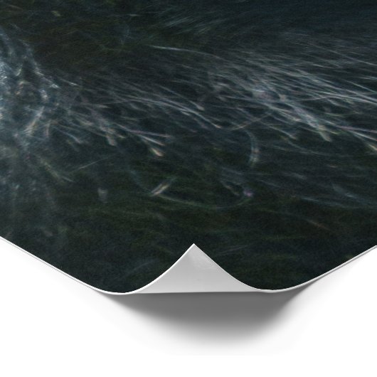 Silverback Splendor Poster (Ecke)