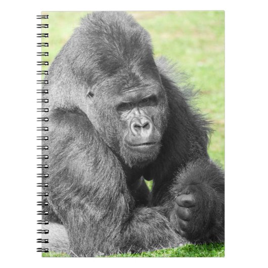 Silverback Takes the Spotlight Notizblock (Vorderseite)