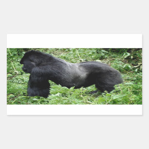 Silverbackgorilla-Fotoaufkleber Rechteckiger Aufkleber