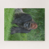 Silverbacks Serenrealm Puzzle (Horizontal)