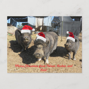 Silverbells Weihnachtskarte! Feiertagspostkarte