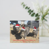 Silverbells Weihnachtskarte! Feiertagspostkarte (Stehend Vorderseite)