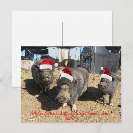 Silverbells Weihnachtskarte! Feiertagspostkarte (Vorne/Hinten)