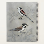 Silvered Aviary | Ein Paar Planer (Rückseite)