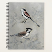 Silvered Aviary | Ein Paar Planer (Vorderseite)