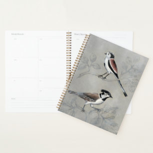 Silvered Aviary Ein Paar Planer