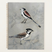 Silvered Aviary | Ein Paar Planer (Vorderseite)