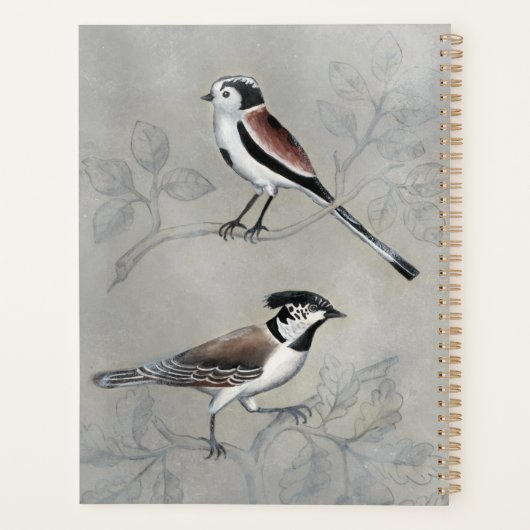 Silvered Aviary | Ein Paar Planer (Rückseite)