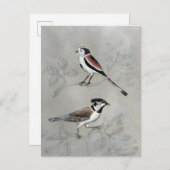 Silvered Aviary | Ein Paar Postkarte (Vorne/Hinten)