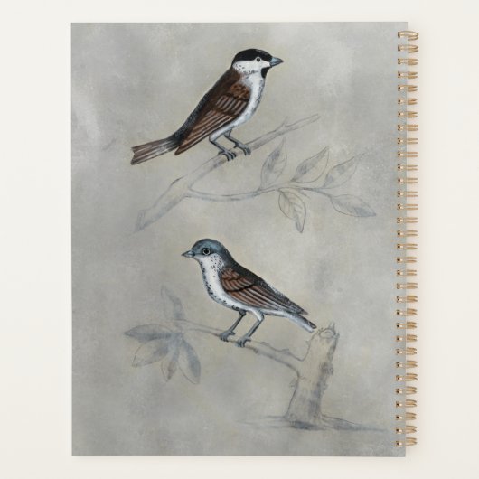 Silvered Aviary | Ein Paar Vögel Planer (Rückseite)