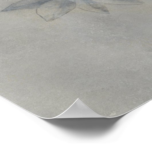 Silvered Aviary | Ein Paar Vögel Poster (Ecke)