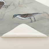 Silvered Aviary | Ein Paar Vögel Sherpadecke (3/4)