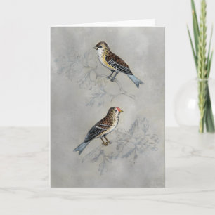 Silvered Aviary   Two Birds Karte