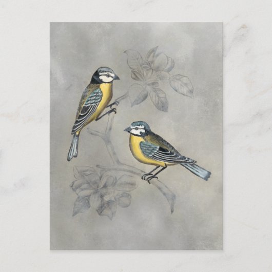 Silvered Aviary | Vogel Couple Postkarte (Vorderseite)
