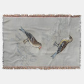 Silvered Aviary | Zwei Vögel Decke (Vorderseite)