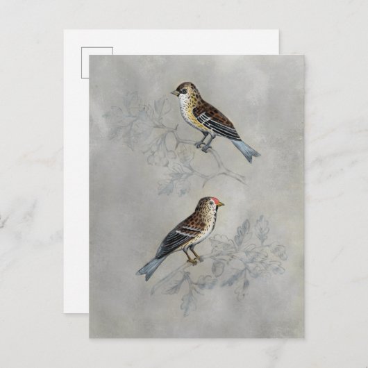 Silvered Aviary | Zwei Vögel Postkarte (Vorne/Hinten)