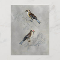 Silvered Aviary | Zwei Vögel