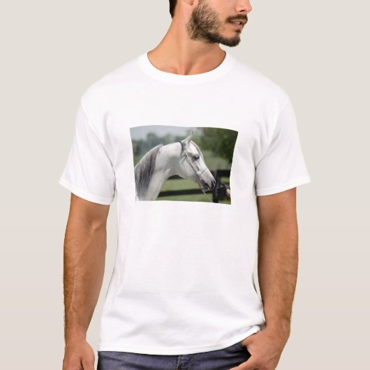 Silverstone Shamal T-Shirt (Vorderseite)