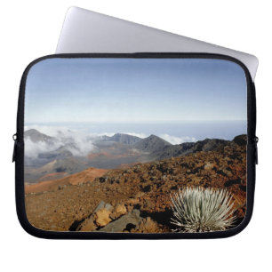 Silversword am Rand des Haleakala-Kraters aus der  Laptopschutzhülle