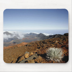 Silversword am Rand des Haleakala-Kraters aus der  Mousepad