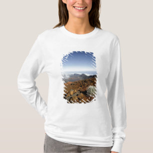 Silversword am Rand des Haleakala-Kraters aus der T-Shirt