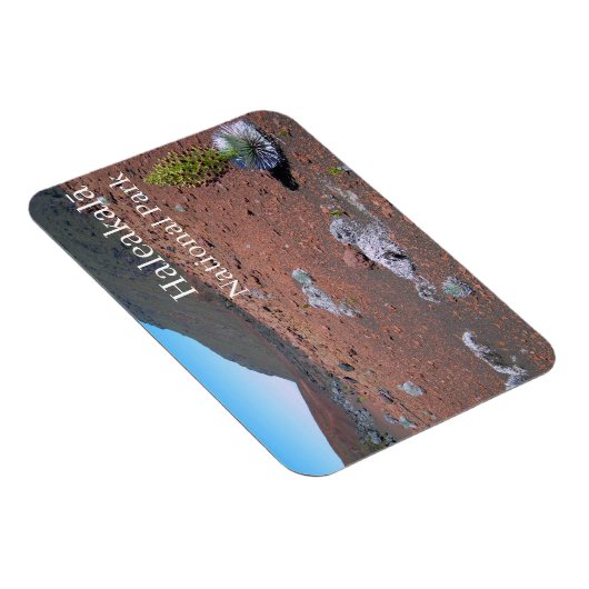 Silversword, Sanddünen, Haleakalā Nationalpark Magnet (Rechte Seite)