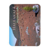 Silversword, Sanddünen, Haleakalā Nationalpark Magnet (Vertikal)
