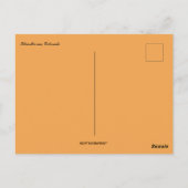 Silverthorne Colorado Postkarte (Rückseite)