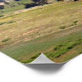 Silverton 01 poster (Ecke)
