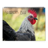 Silverudds Kalender (Titelbild)