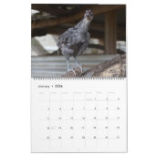 Silverudds Kalender (Jan 2026)