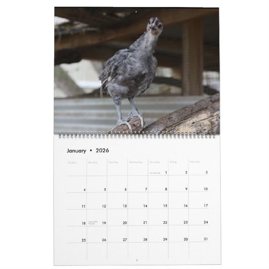 Silverudds Kalender (Jan 2026)