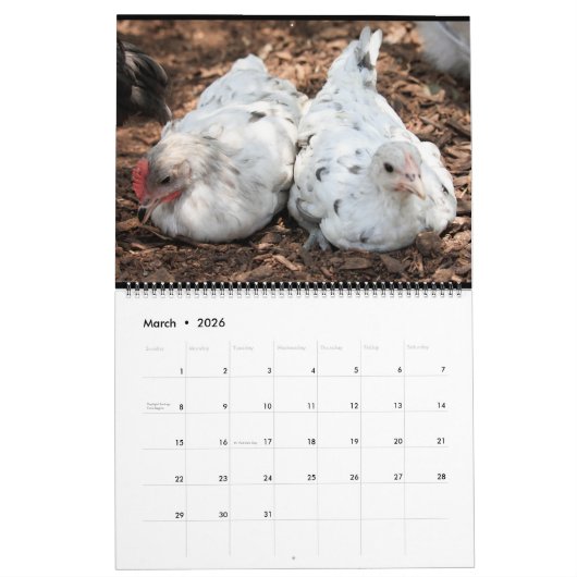 Silverudds Kalender (Mär 2026)