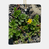 Silverweed Cinquefoil Keramikornament (Rechts)