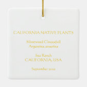 Silverweed Cinquefoil Keramikornament (Rückseite)