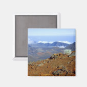 Silverword auf Haleakala Krater Rim von nahe 2 Magnet (Vorderseite/Rückseite)