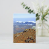 Silverword auf Haleakala Krater Rim von nahe 2 Postkarte (Stehend Vorderseite)