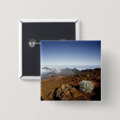 Silverwort auf Haleakala Krater Rim aus der Nähe Button (Vorne & Hinten)