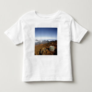 Silverwort auf Haleakala Krater Rim aus der Nähe Kleinkind T-shirt