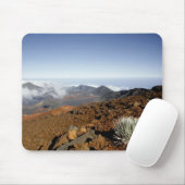 Silverwort auf Haleakala Krater Rim aus der Nähe Mousepad (Mit Mouse)