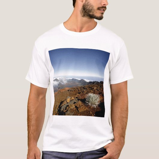 Silverwort auf Haleakala Krater Rim aus der Nähe T-Shirt (Vorderseite)