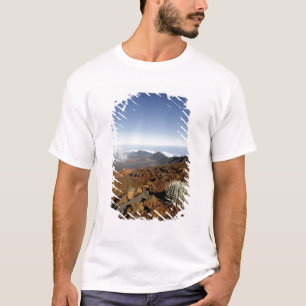 Silverwort auf Haleakala Krater Rim aus der Nähe T-Shirt